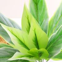 uploads/erp/collection/images/Home Garden/CongDing/XU0610536/img_b/XU0610536_img_b_4